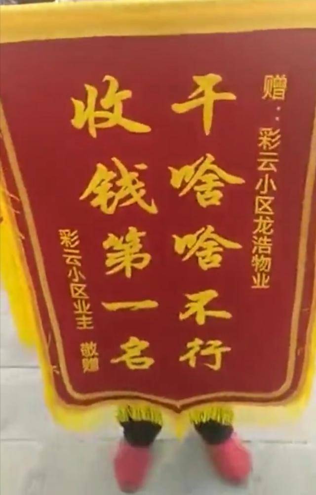 原创业主不满物业敲锣打鼓送锦旗,欺负业主第一名!锦旗挂满办公室