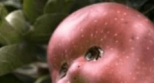 af024c23669d4c7d965a6af3ce826867.png