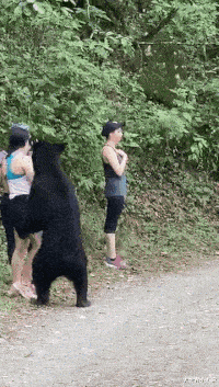2男子目睹黑熊啃着人体残骸吃正欢!
