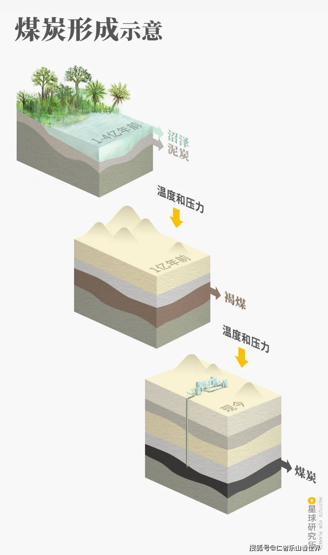 高压等特殊条件下 发生一系列物理化学变化 最终形成煤炭 (煤炭形成