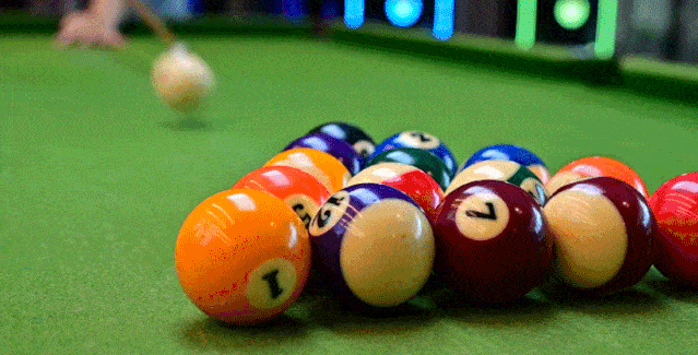 指导|健身双周卡,游泳,滑雪!全部拥有!