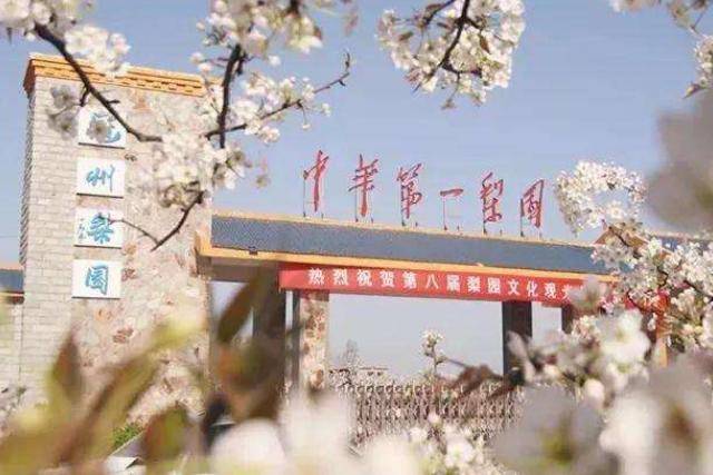 冠县多少人口_冠县地图