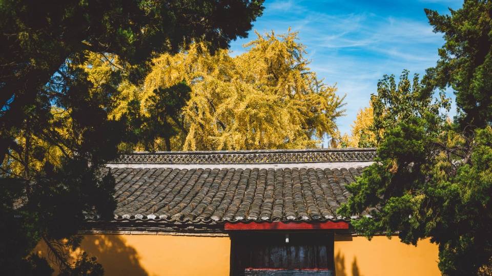 禅寺|江淮大地上的千年古刹，为何其他季节默默无闻，秋季游客络绎不绝