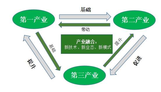 融合一二三产延伸牡丹产业链龙池牡丹是这样做的