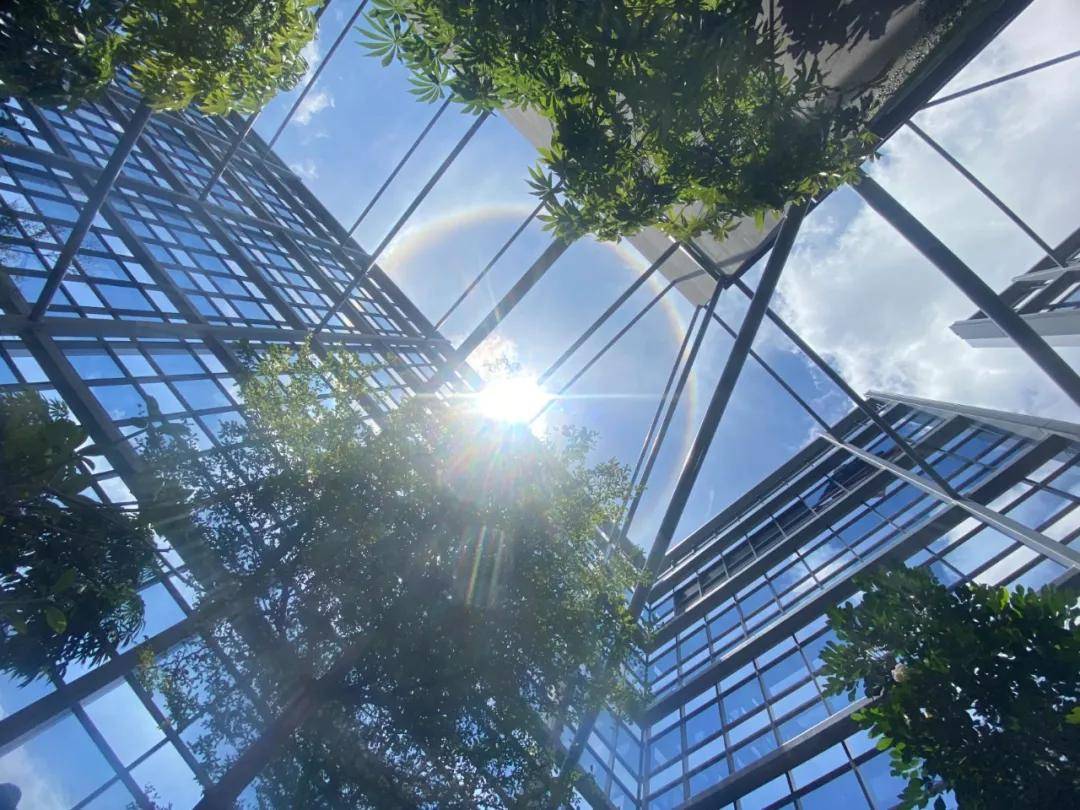 异象|突发!新加坡天降异象,绝美日晕刷屏了~(多图+视频)