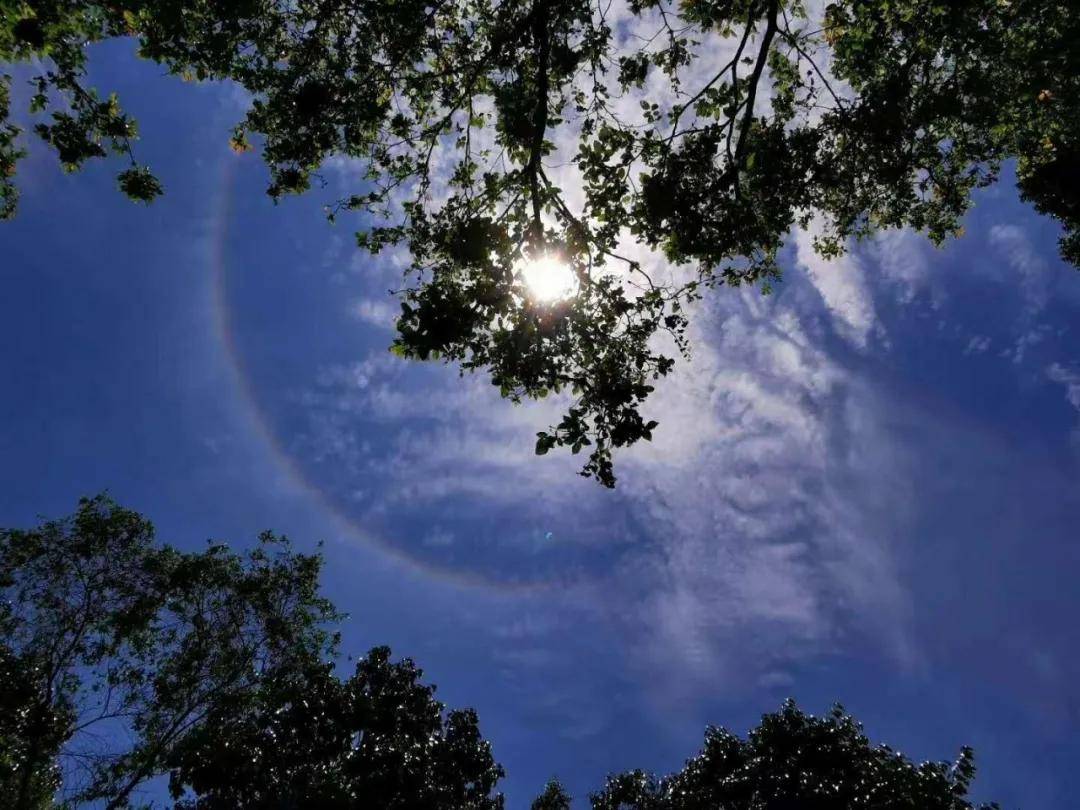 异象|突发!新加坡天降异象,绝美日晕刷屏了~(多图+视频)