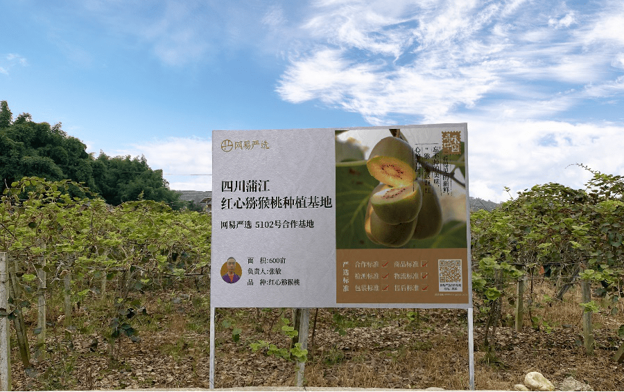 用户|互联网新农业，网易严选“寻味中国”扶持中国品质农货