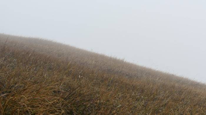 小家电市场真火了，但厂商绝不能一窝蜂而上盲目投资-家电圈官网