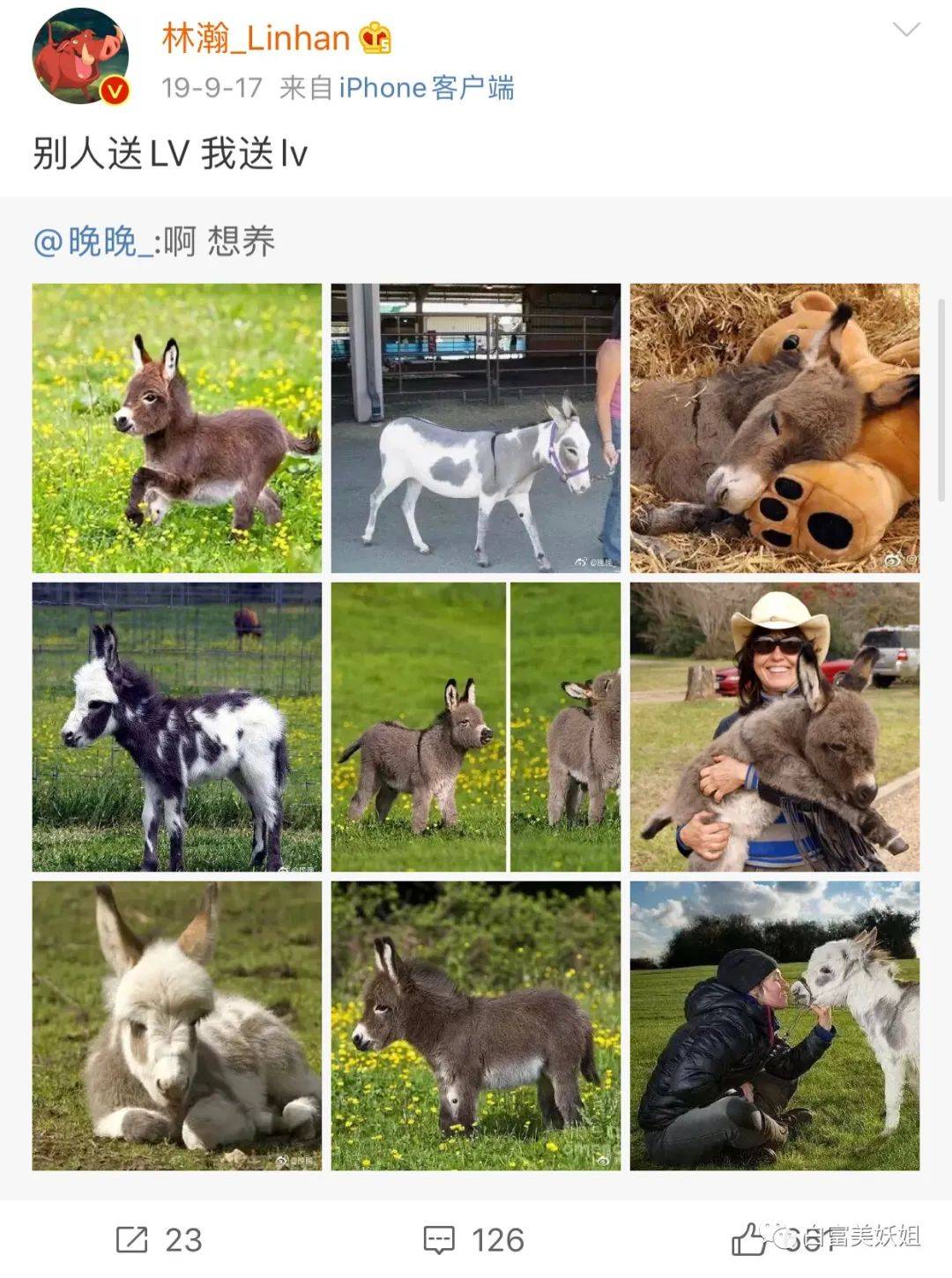 老婆|晚晚豪门礼物大赏，真“寒门贵妇”…