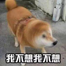 381e853aa85d4cac822b3377869e3f10.jpeg