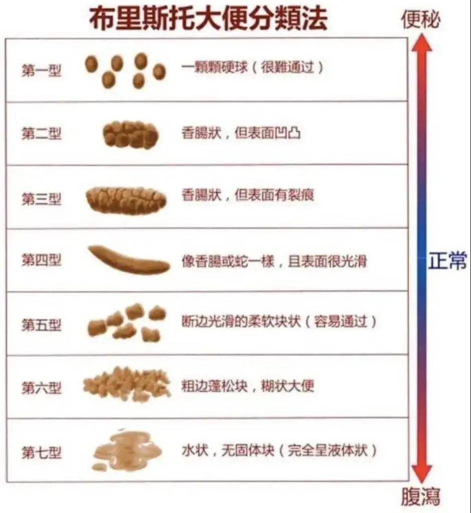 会导致食物在肠道内停留时间过长,水分被过度吸收,排出来的大便就会