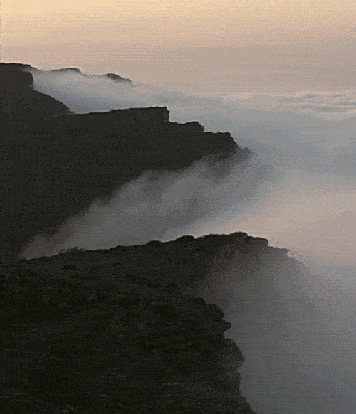 看完大火的《三十而已》,快到寿宁竹管垅打卡同款茶园!