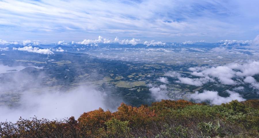 今年家电业“铜九银十金十一”超级促销季怎么干？-家电圈官网