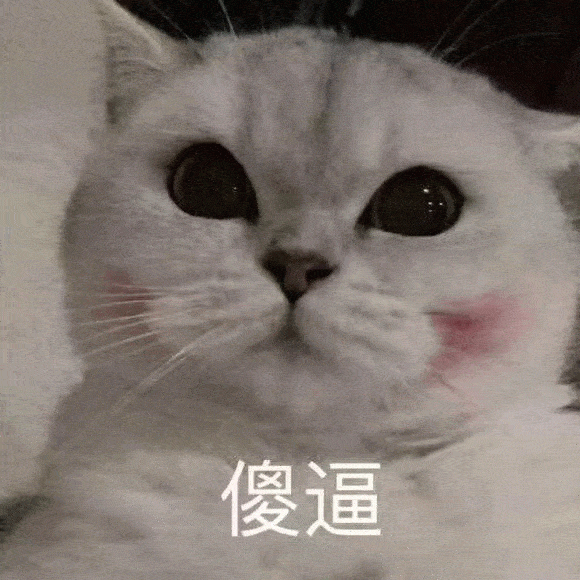 超萌的猫咪表情包:你萌,你倒是发个自拍看看啊