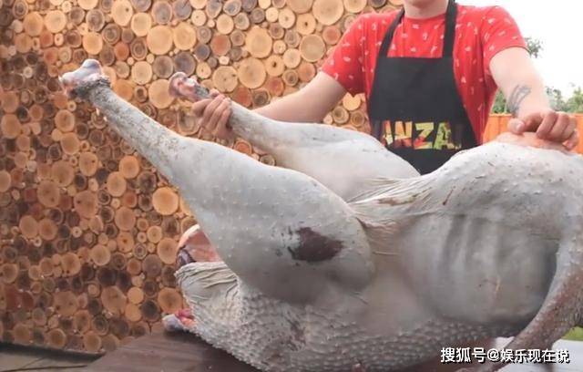 原创吃过鸵鸟肉吗?老外烤整只鸵鸟动用50斤盐,成品让人眼前一亮