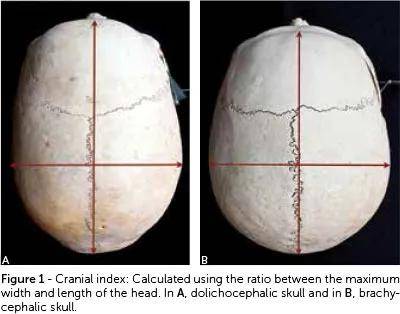 西方|东西方顶级神颜都共用同一张脸?