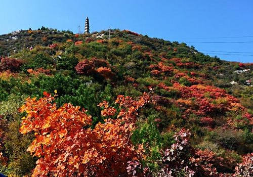 崛围山风景区门票及交通信息:崛围山风景区是免收门票的,公交从市内