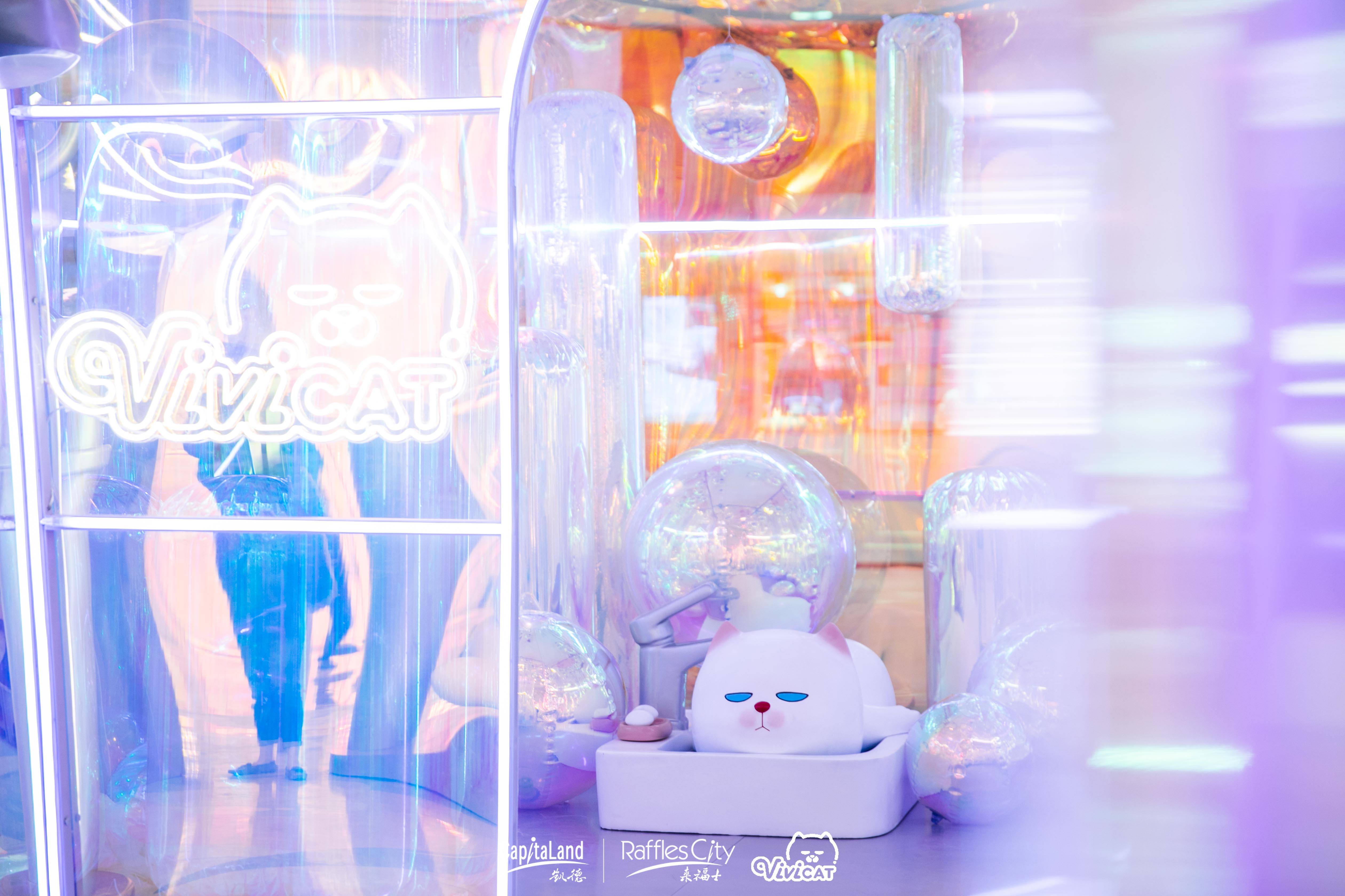 极光|ViViCat华东首展，邀大众共赏极光沐浴