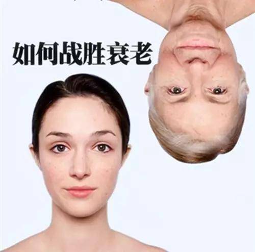 fe45e7ce77a14c2c97d483a7f21a24c8.jpeg