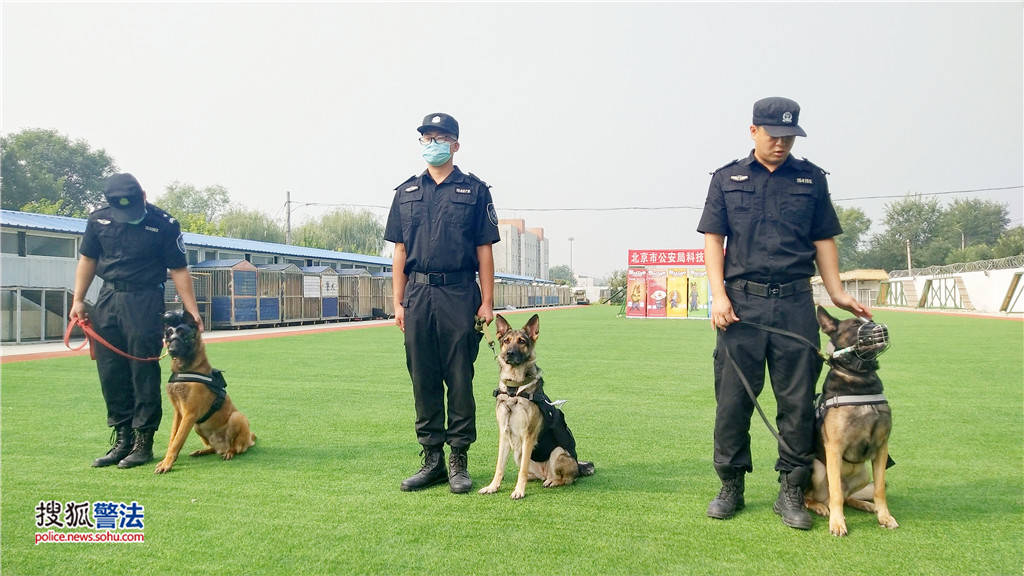 北京市公安局举行警犬技术科研成果项目推广活动