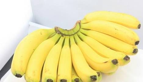 08a30f8a03d543a4ad78212a69560ed2.jpeg