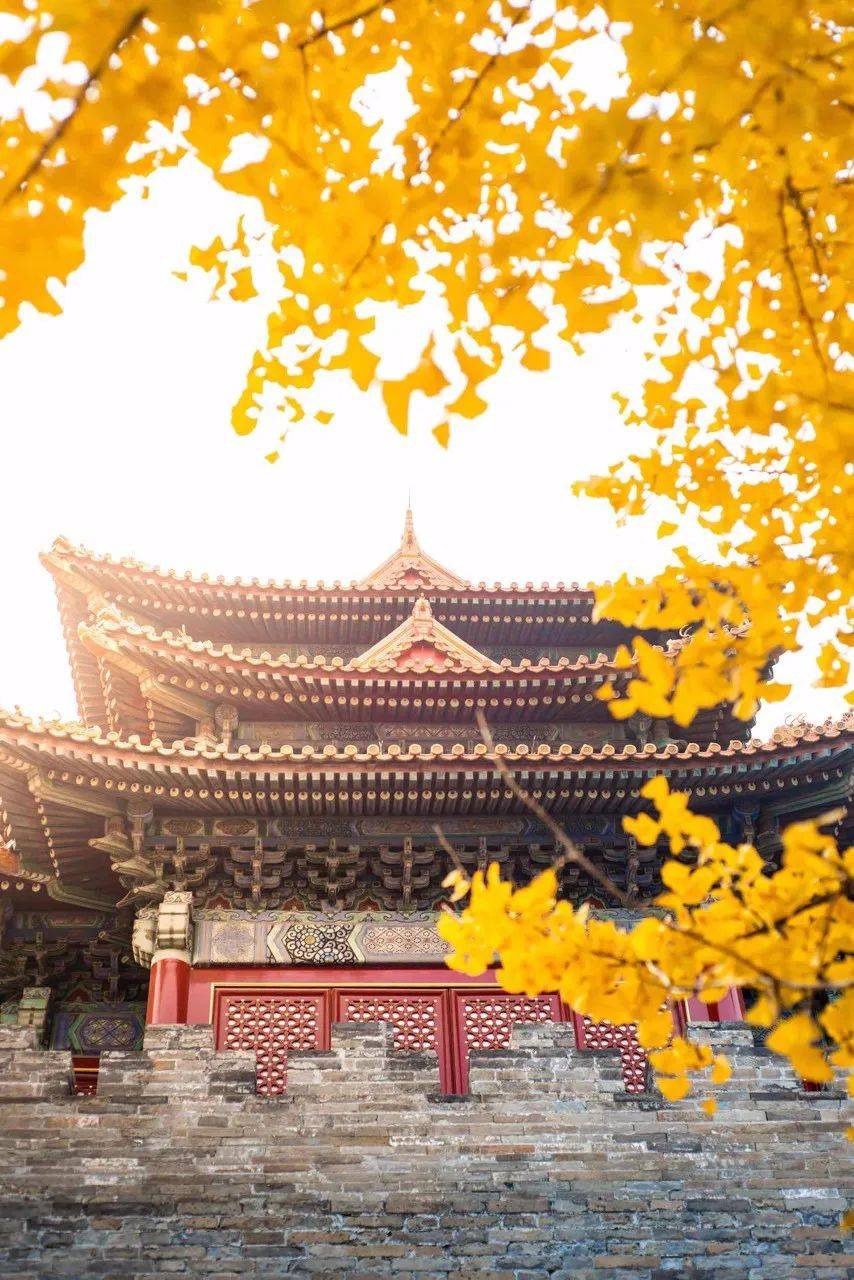 北京的秋天有多美大概就是天堂的样子吧