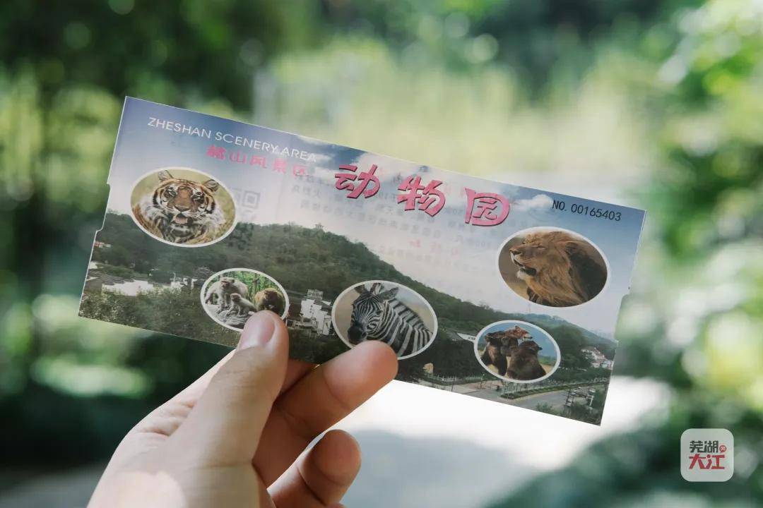 赭山动物园恢复开园啦!