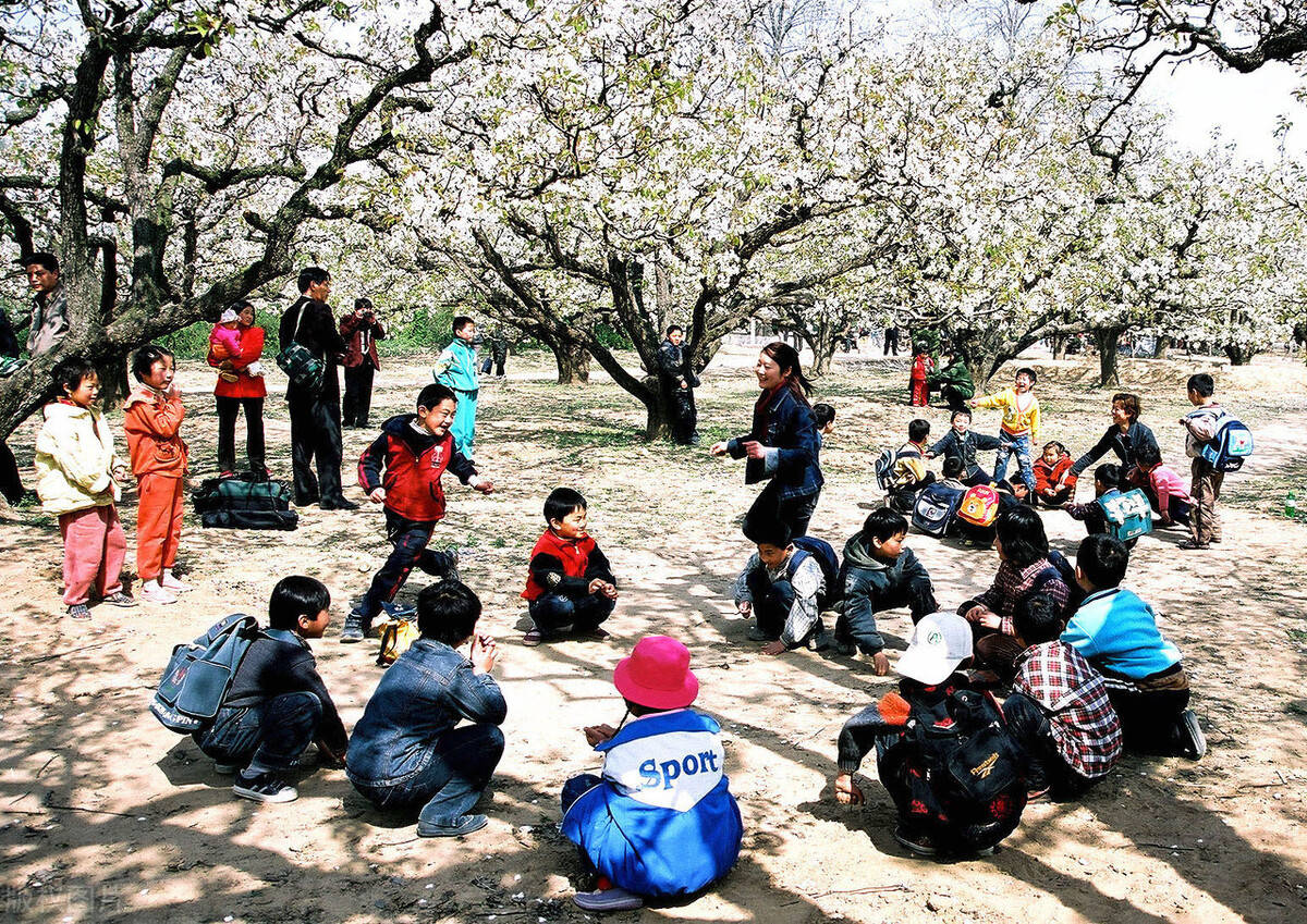 砀山gdp_砀山梨图片(2)