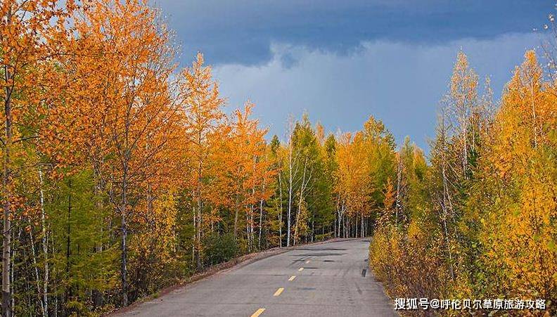 呼伦贝尔的四季都有不一样的精彩那么呼伦贝尔秋天景色怎么样