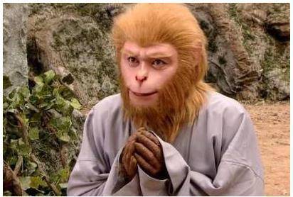 师兄|孙悟空只是变了一棵松树,菩提为啥就着急赶他走?