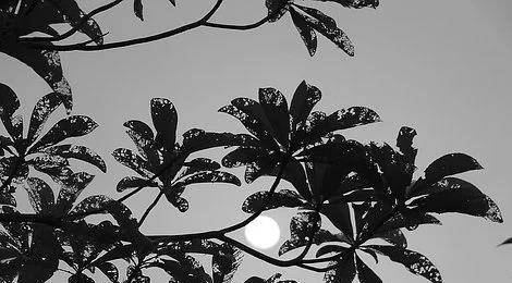 9001718a1cde43f686f16c8b77acfe6a.jpeg