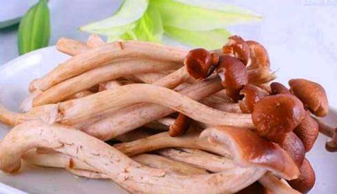 什么食材补阴最快 6e81ec40996d457a96c07f4f31d01ade.jpeg