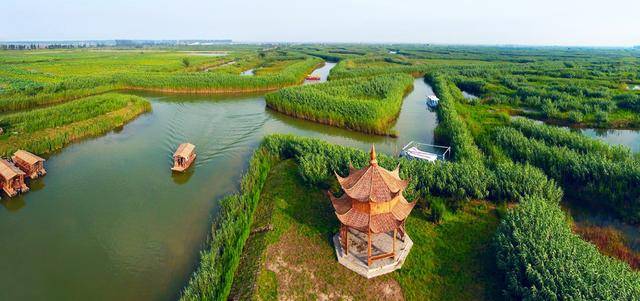 太仓GDP低_太仓犬