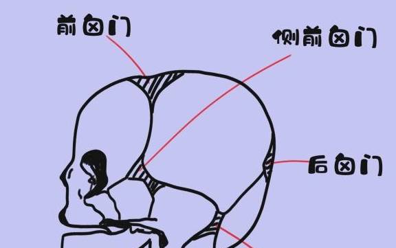 护理|妈妈做好这些就足够了！小儿囟门护理“讲究多”？没那么脆弱