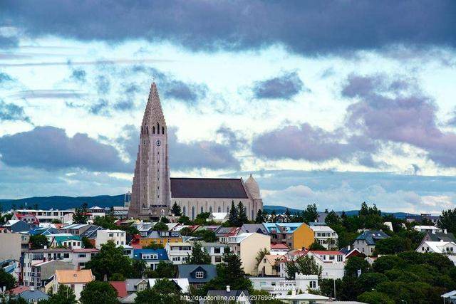 2019年冰岛人均GDP_07年冰岛古树(3)