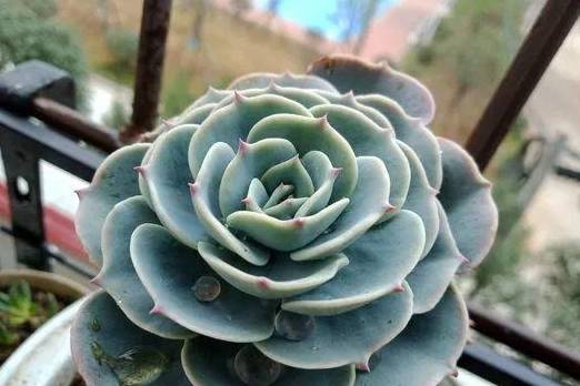 a1243edb2cf048fa8f38976edd89fdd4.jpeg