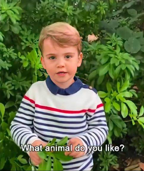 凯特|凯特三子女红白蓝主题配色着装视频采访教授,路易小王子又帅了