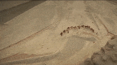 固原|鎏金银壶：一只出土于宁夏，盛满古希腊神话的丝路遗珠