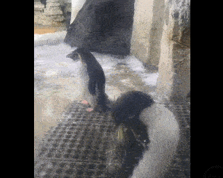 笑尿爆图:男子搭讪美女,被老爹当众打屁股,一副不服气