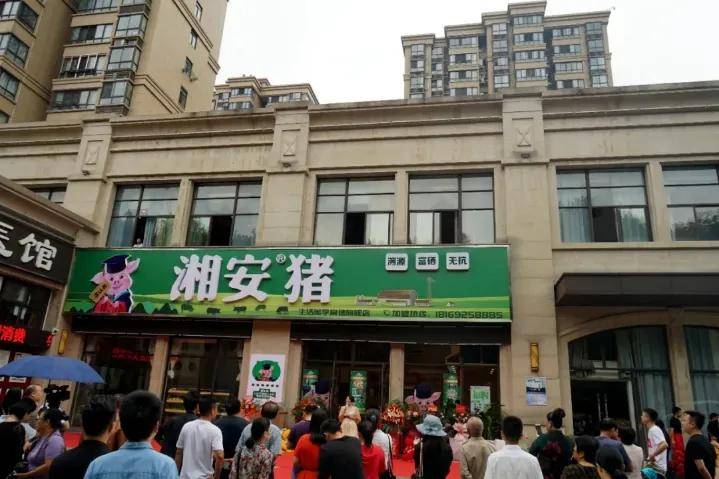 猪草|【】两位“神搭配”,同时在常德城里当上了"猪司令”