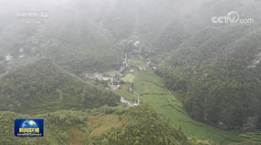 云南临沧市双江县冰岛村GDP_普洱春茶涨价趋势明显 业内呼吁价格回归合理(2)