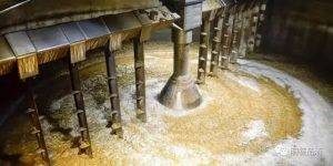 葡萄|威士忌与白兰地等烈酒的区别在哪里？