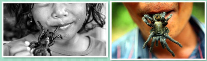 见闻记录|大蜘蛛张牙舞爪 烧烤炸张口吞下