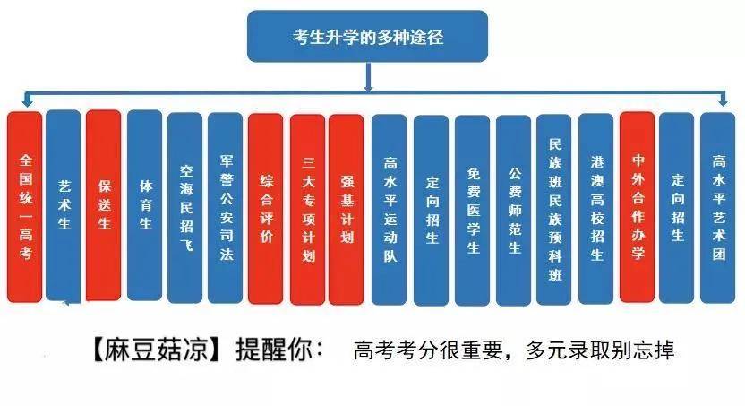 【升学路径】强基/综评/专项计划,2021高考你适合哪一