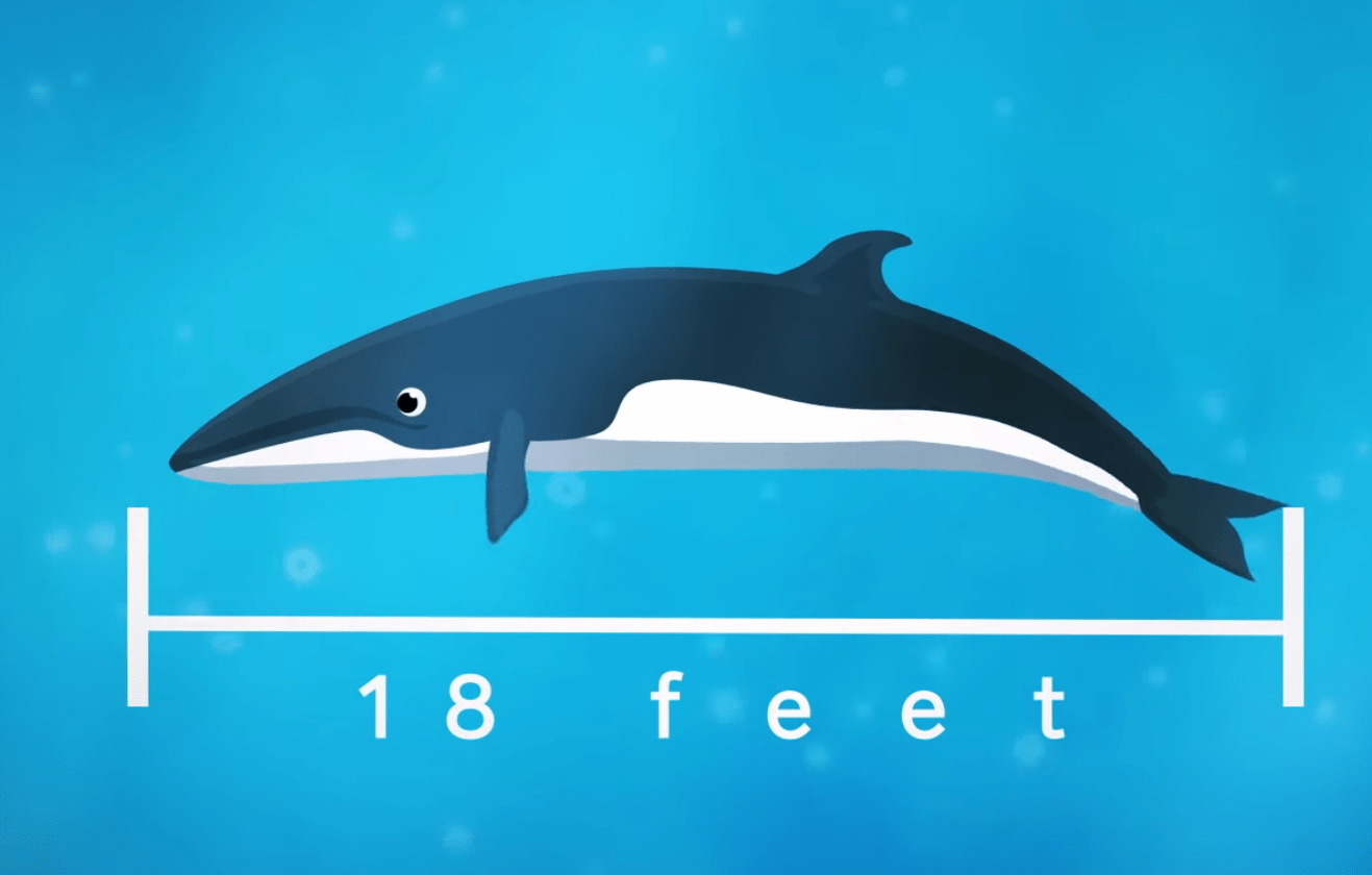 fccf5d41861f41348e4259fed5858df3.png