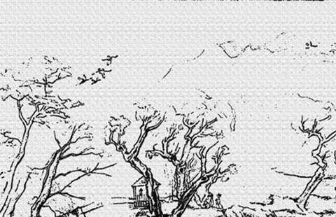 人生若只如初见下句怎么写 5a61edc3be6f483794bf4900591d1c0d.jpeg