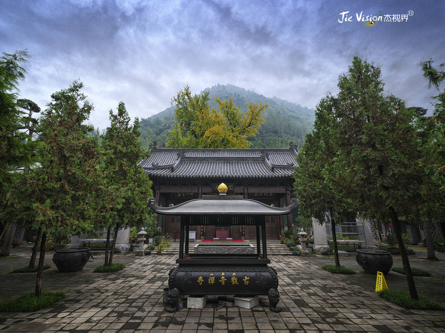 禅寺|1400年历史银杏树与观音禅寺相伴相生 背后的故事让人称奇