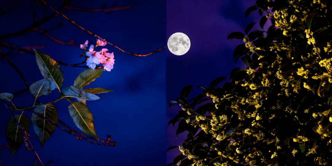 无人机|这些花式热搜你一定想不到！各高校为了C位出道“太拼了”