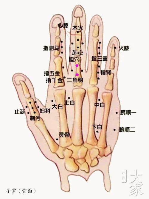 董氏穴位分享一一手指部位二角明穴中医分享仅供参考