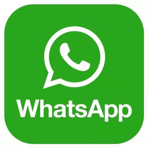 whatsapp绿标